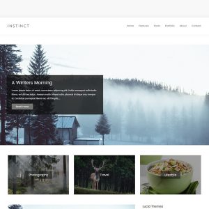 Instinct - Blog & Portfolio Theme