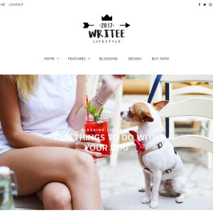 Writee Pro WordPress Blog Theme