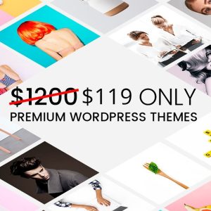 36 WordPress Themes - Mega Bundle