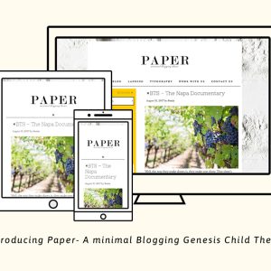 Paper - Minimal Genesis Blog Theme