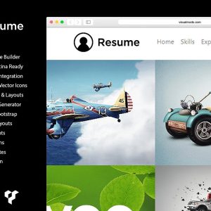 Resume CV Portfolio WordPress Theme