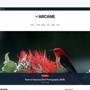 Lifestyle Blog WordPress Theme