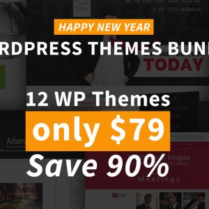 Happy New Year Bundle - 12 WP Themes