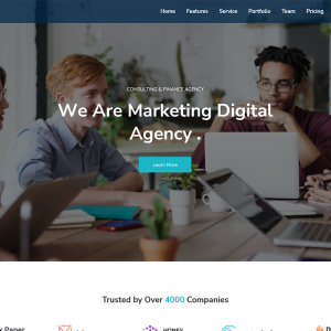 Marwa - Digital Agency WP Theme